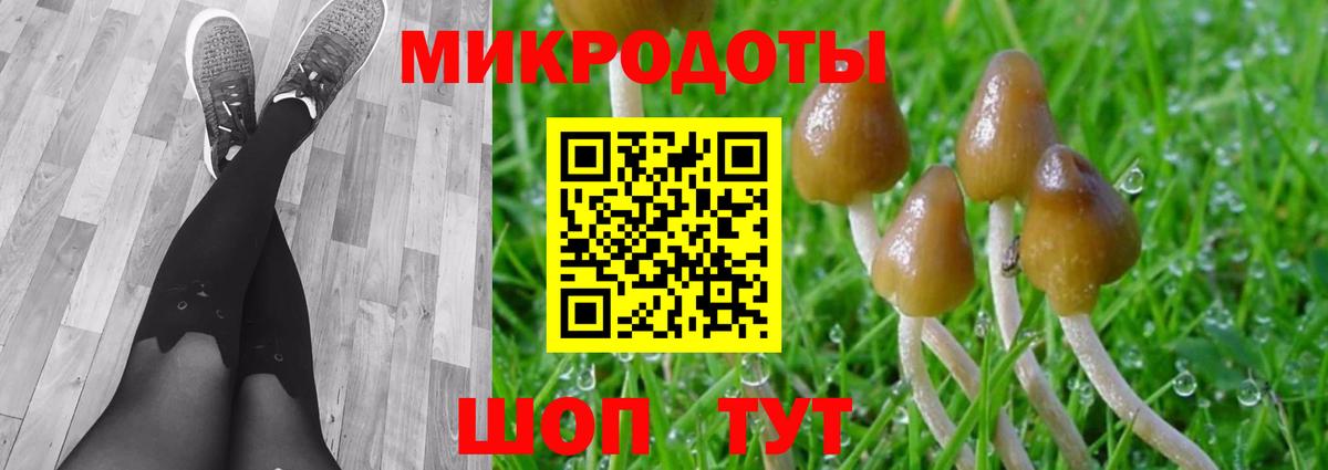Псилоцибиновые грибы MAGIC MUSHROOMS  Вход с VPN  Щёкино 